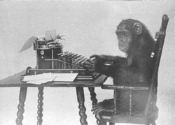 Monkey and Typewriter